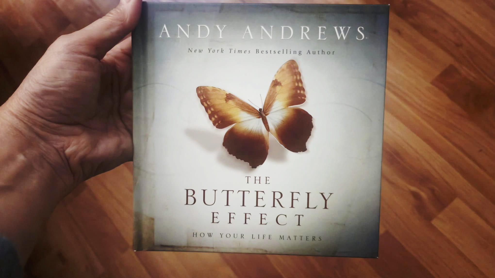 Picture of The Butterfly Effect Book by Andy Andrews